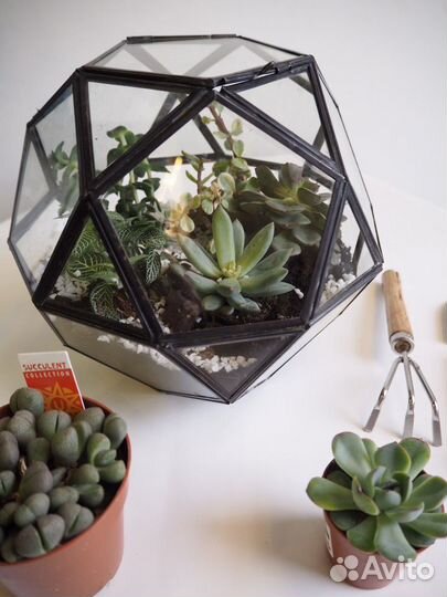 Формы для флорариума