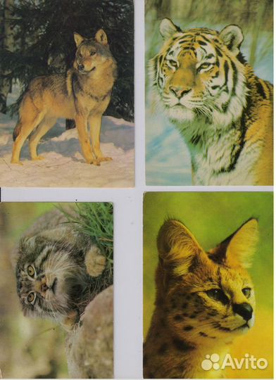 Ретро открытки