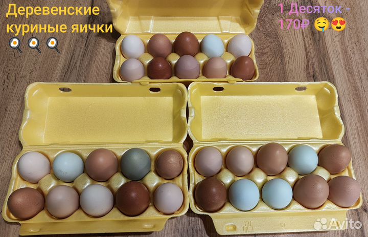 Куриные яйца (Деревенские)