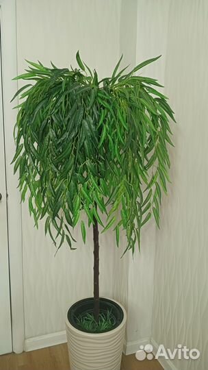 Ива искусственная