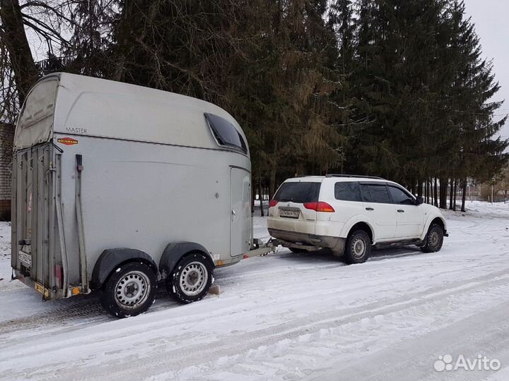 Перевозка лошадей и коров