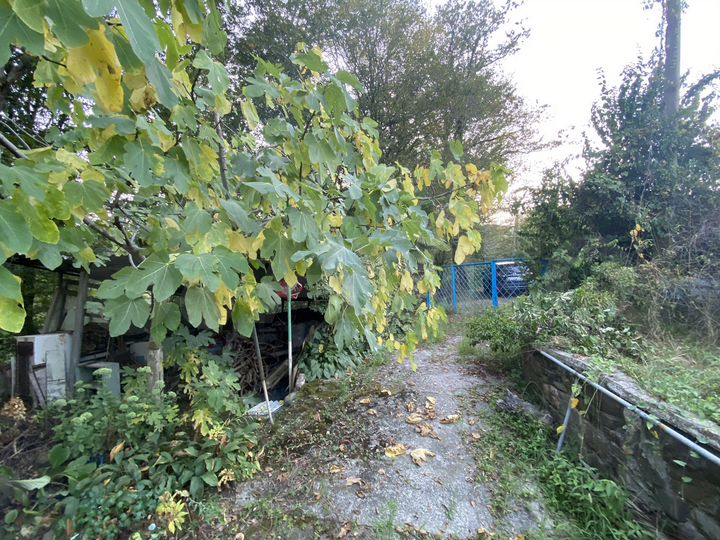 Участок 13 сот. (СНТ, ДНП)