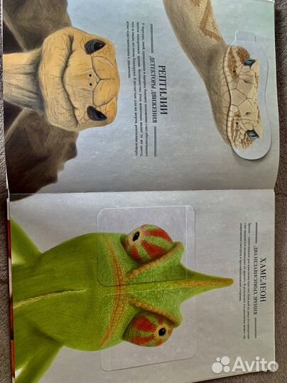 Мои любимые книги