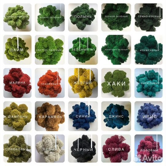 Мох Стабилизированный От Производителя