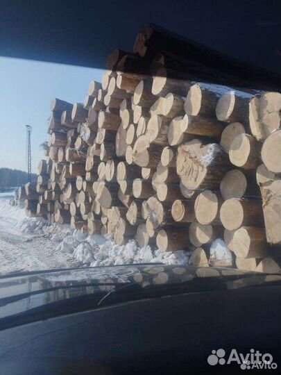 Лес кругляк Сосна дрова Берёза Осина