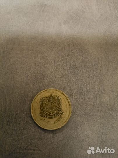 Коллекция, хобии