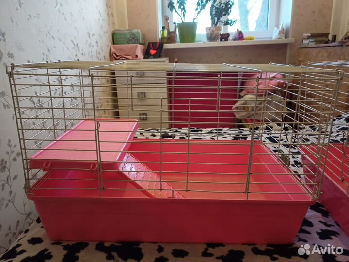 Клетка для морских свинок или кроликов