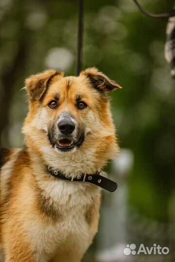 Леонид ищет семью