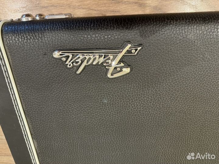 Гитарный кофр (кейс) Fender