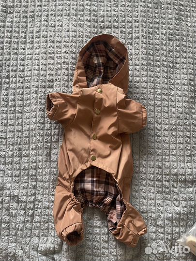 Одежда для собак мелких пород