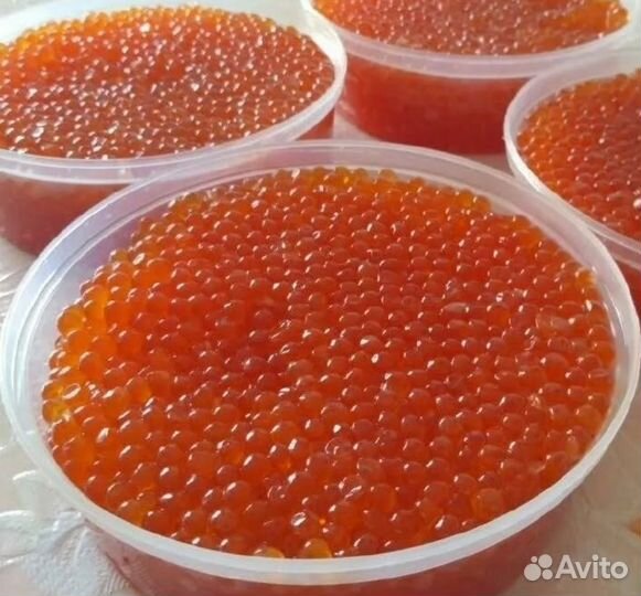 Продам красную икру