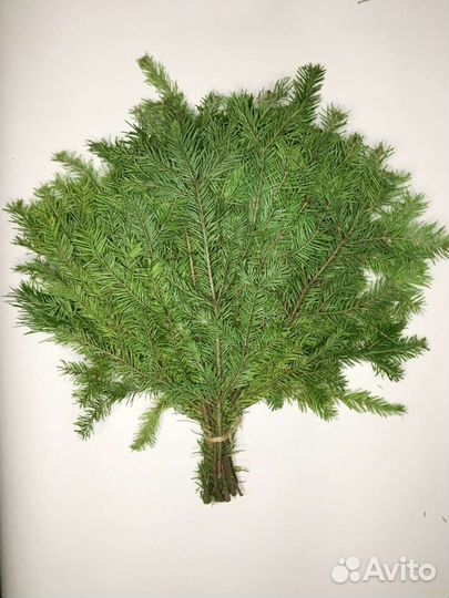 Дубовые, березовые, пихтовые веники для бани