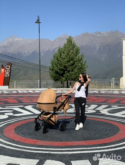 Коляска anex e-type 3 в 1