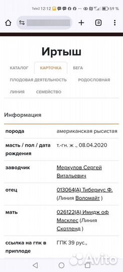 Американский рысак