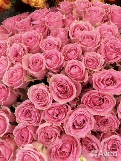 Цветы розы и букеты