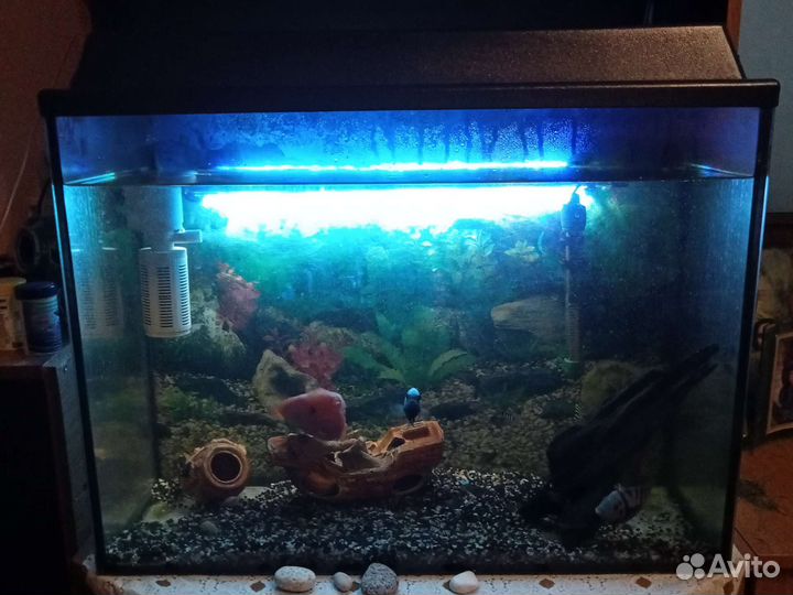 Аквариум
