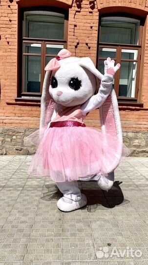 Аниматор на праздник