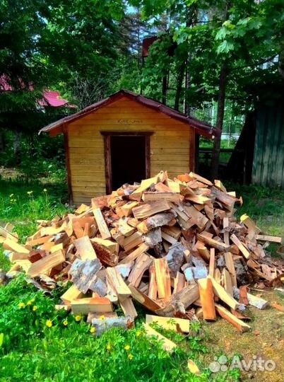 Дрова Береза любого объема в Приозерске