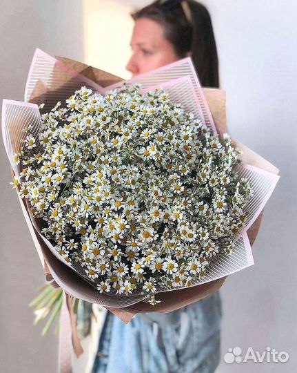 Цветы ромашки