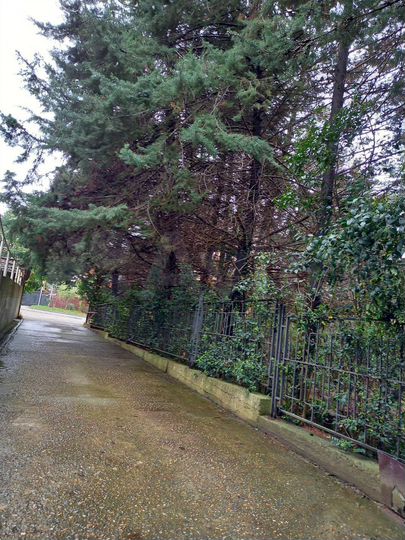 Участок 12 сот. (ИЖС)