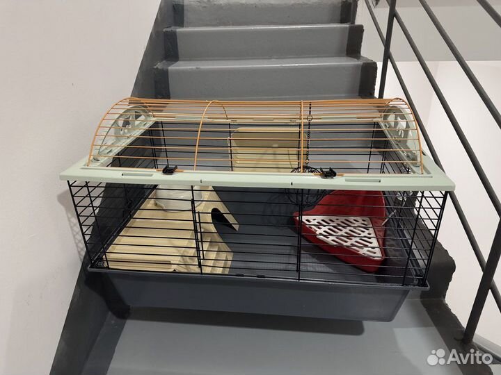 Клетка для карликового кролика морской свинки ежа