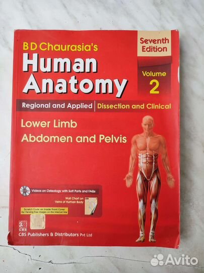 Human Anatomy