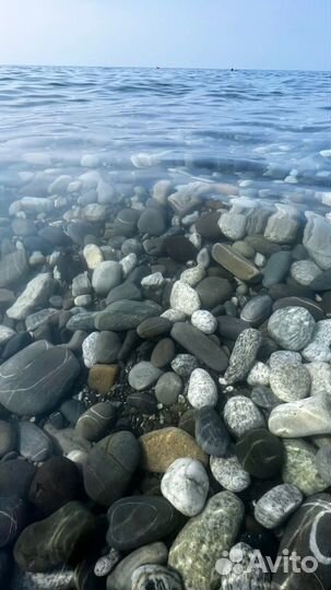 Отдых в Лоо у моря