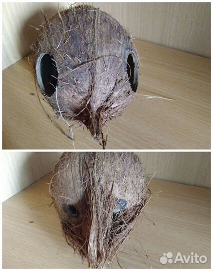 Домики кокосы для аквариума