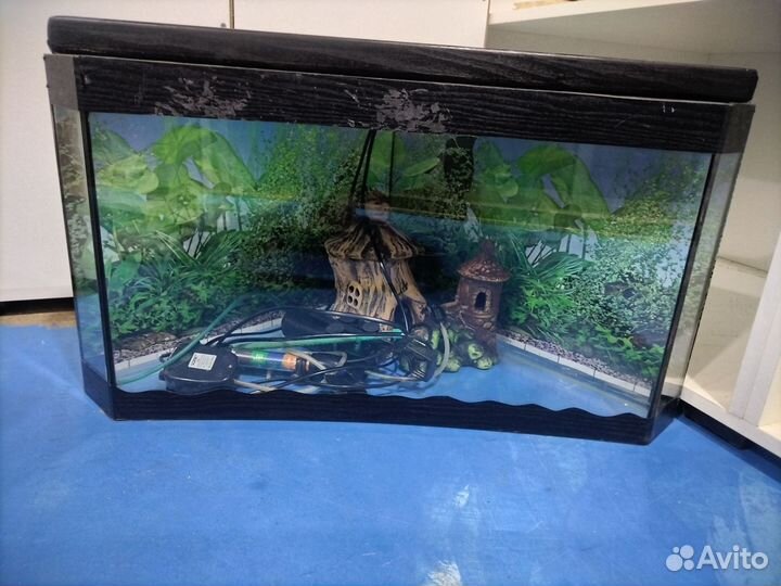 Аквариум с принадлежностями