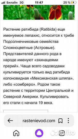 Семена Ратибида