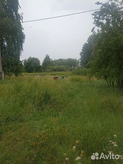 Продается пасека