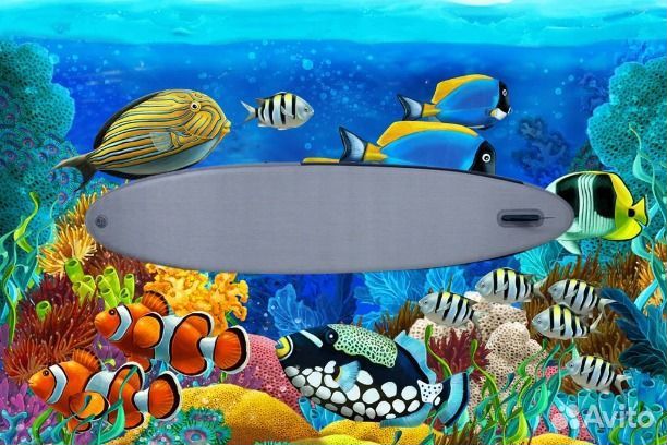 SUP board gladiator OR10.4 Сургут