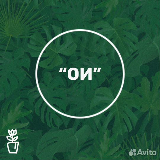 Рабочий по отделочным работам