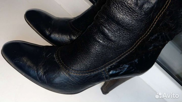 Сапоги carlo pazolini