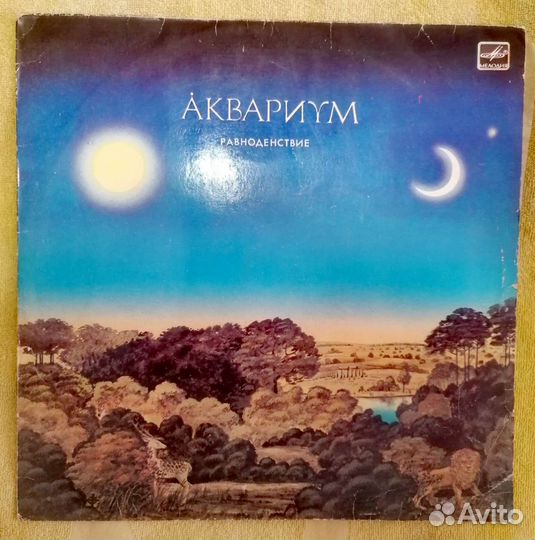 Виниловые пластинки русский рок