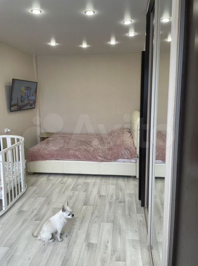 1-к. квартира, 32,8 м², 4/5 эт.