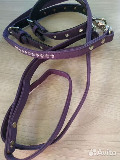 Ошейник и шлейка с поводком