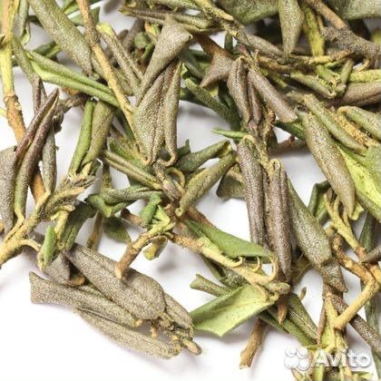 Сагаан Дайля