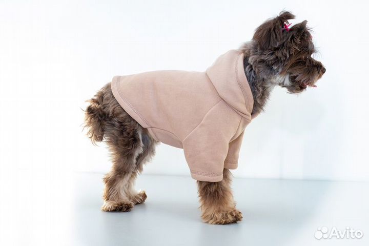 Одежда для собак (Худи - Толстовка)