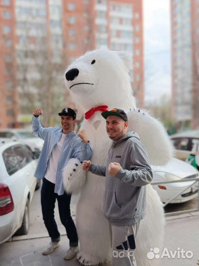 Мишка аниматор.Огромный белый медведь