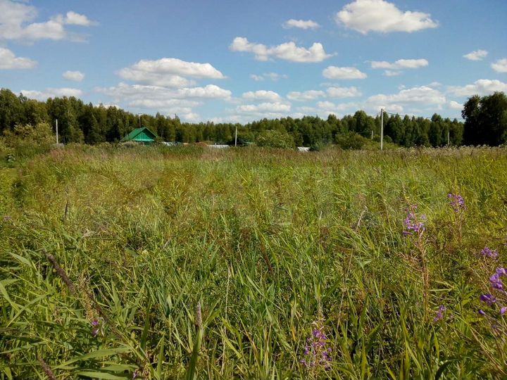 Участок 21 сот. (СНТ, ДНП)