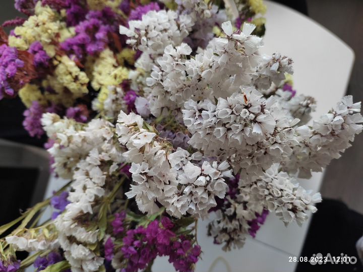 Статица (кермек) сухоцветы