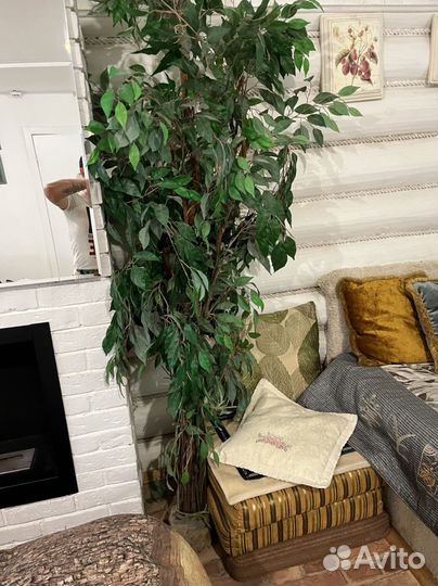 Исскуственное дерево фикус