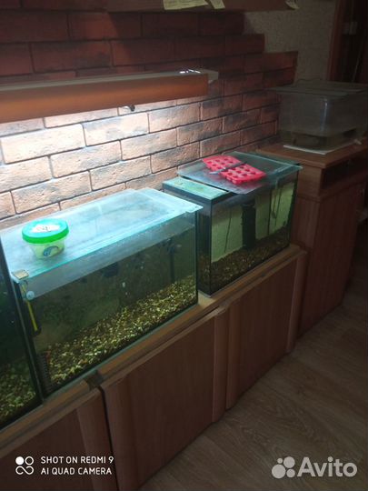 Аквариум