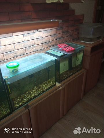 Аквариум