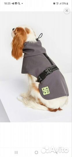 Попона (одежда) для собак размер 35