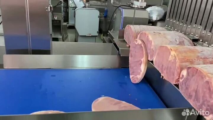 Ленточная пила Leaddenmar Automatic Msaw L400/L600