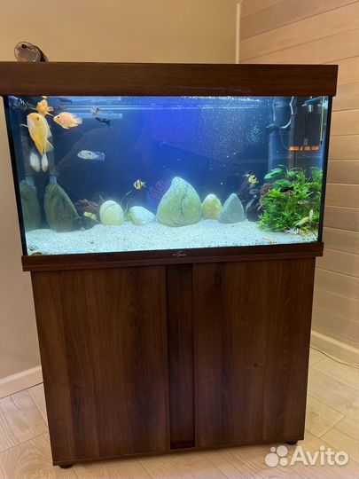 Аквариум с тумбой 160 л