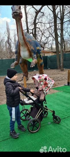 Прогулочная коляска