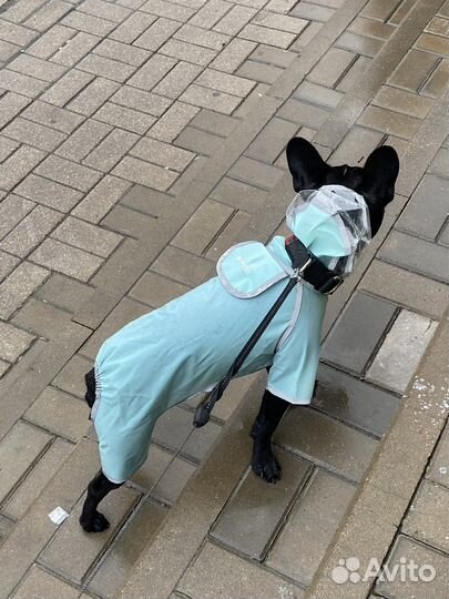 Костюм для собаки